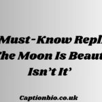 Must-Know Replies to ‘The Moon Is Beautiful Isn’t It’