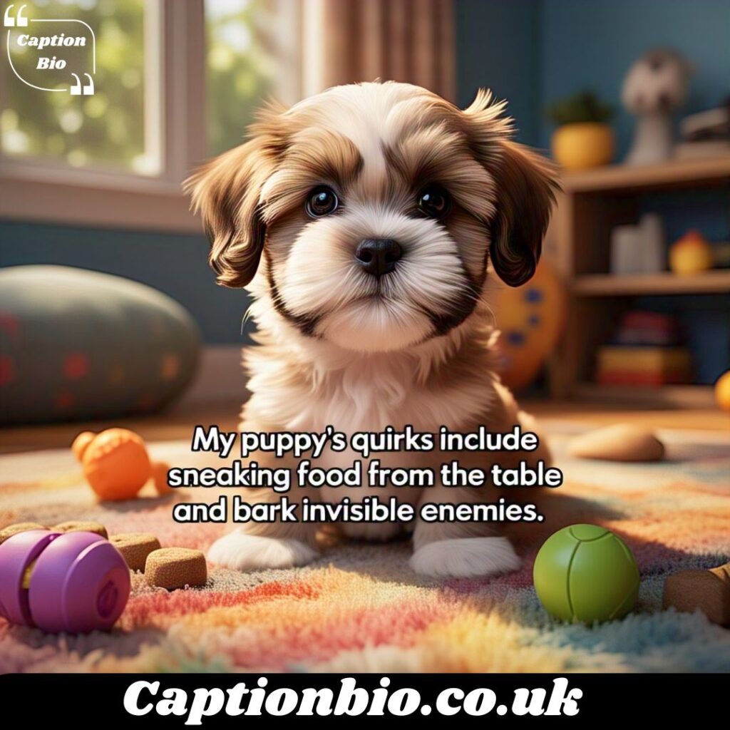 Clever Captions That Highlight Your Puppyโs Quirks