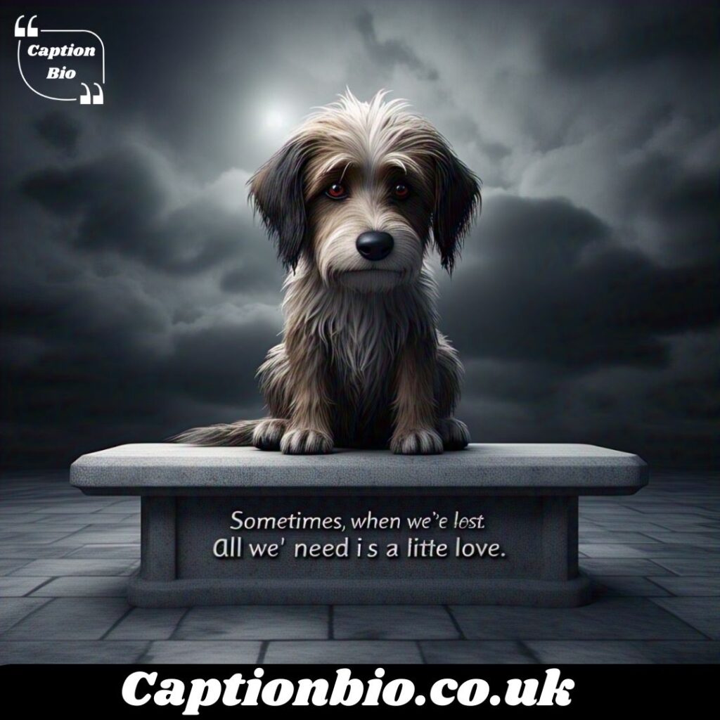 Sad Dog Loss Quotes